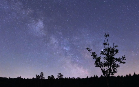 Утомительный день у Весов, а Стрельцы решат финансовые проблемы: гороскоп на 22 июля
