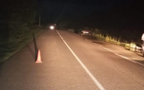 В Мордовии 11-летняя девочка попала под колеса авто, когда перебегала дорогу