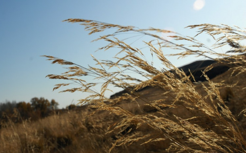 Синоптики пообещали россиянам теплый август и «комфортную» осень