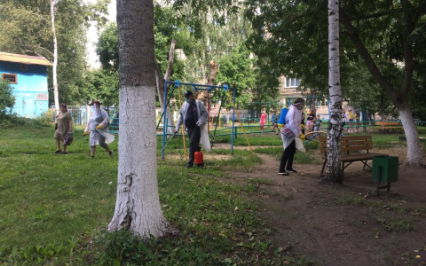 Санитарная обработка придомовых территорий проводится в Саранске