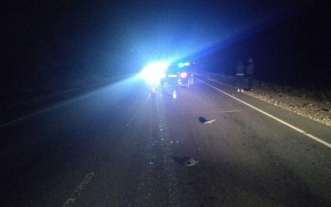 Житель Мордовии погиб в Рязанской области под колесами авто