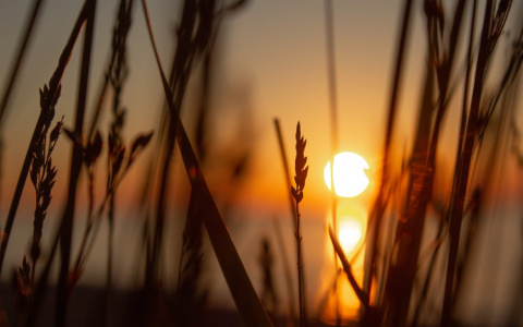 Скорпионы решат финансовые вопросы, а у Водолеев – утомительный день: гороскоп на 30 июля для всех знаков