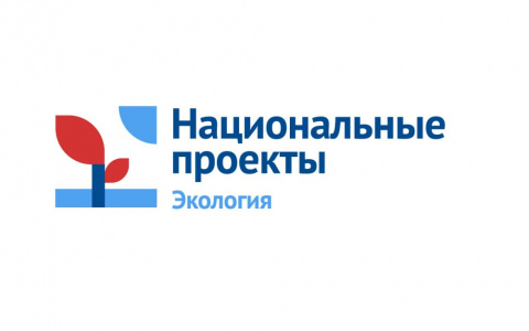 Национальный проект «Экология»