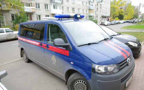 В Москве задержали проректора МГУ Гришина и отправили в Саранск