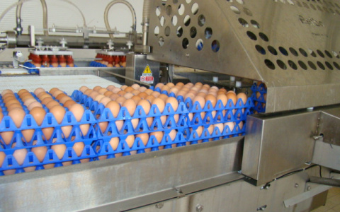 Модернизация завода по производству яичной продукции в Рузаевке завершится к концу года