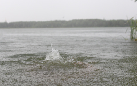 В Мордовии в не оборудованном для купания водоеме утонул мужчина