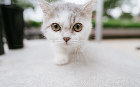 Синоптики рассказали о погоде в Саранске на 8 августа