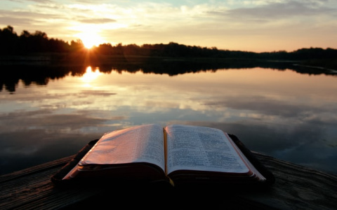 Девы решат важные вопросы, а Весам лучше не лениться: гороскоп на 12 августа для всех знаков