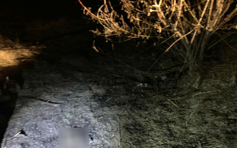 Следователи ищут мать младенца, тело которого было обнаружено около школы в Саранске