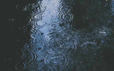 Захватите зонт: синоптики рассказали о погоде в Саранске на 14 августа