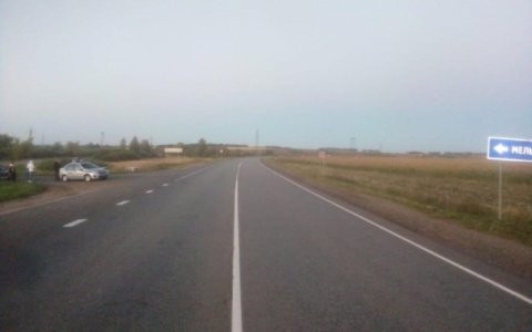 ДТП на трассе в Мордовии: пострадали два человека