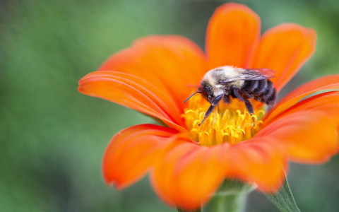 Синоптики рассказали о погоде в Саранске на 24 августа