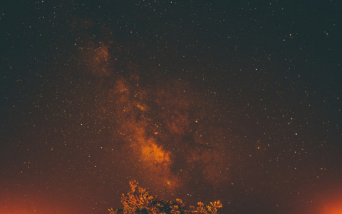 У Рыб все получится, а Львы разберутся с проблемами: гороскоп на 26 августа для всех знаков