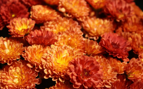 Удачный день у Дев, а у Скорпионов проблемы в личной жизни: гороскоп на 28 августа для всех знаков