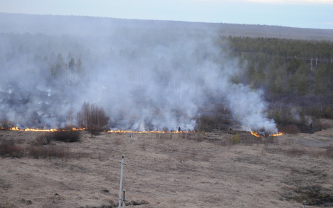 МЧС: в Мордовии объявлено оперативное предупреждение