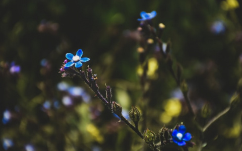 Что вас ждет в последний день лета? Гороскоп для всех знаков зодиака