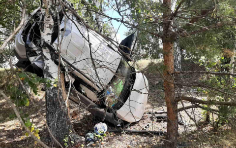 В Мордовии улетевший в кювет автомобиль «остановило» дерево