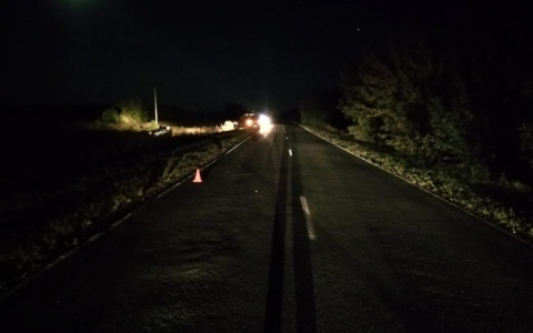 В Мордовии водитель иномарки съехал в кювет и сбежал с места ДТП