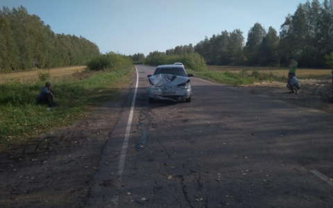 В Мордовии трактор «протаранил» легковушку: есть пострадавший