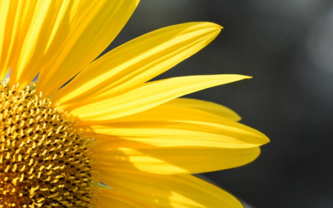 Синоптики рассказали о погоде в Саранске на 3 сентября