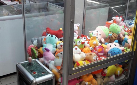 Росгвардейцы задержали двоих жителей Саранска, покусившихся на игровой автомат