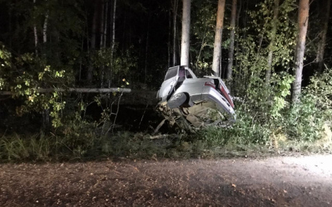 В Мордовии легковушка врезалась в дерево: водитель погиб на месте