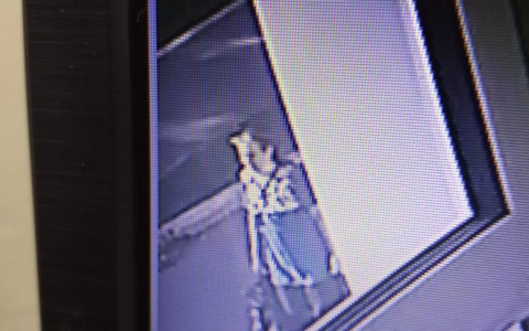 Полицейские Саранска ищут женщину, присвоившую оставленный без присмотра телефон