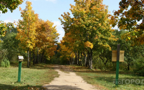Синоптики рассказали, какая погода ждет жителей Саранска 13 сентября