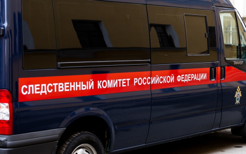 В Мордовии при пожаре погиб мужчина: СК проводит проверку