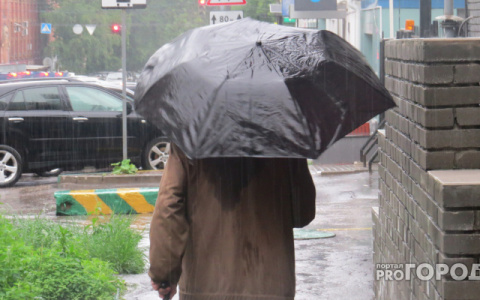 Дождь и сильный ветер: прогноз погоды в Саранске на 20 сентября
