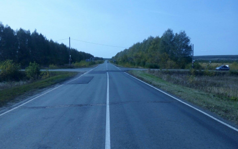 В Мордовии 36-летняя автоледи съехала в кювет, пострадала пассажирка