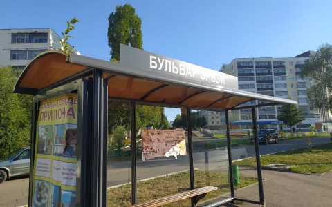 Бродяга разбил битой стекло на остановке в Саранске