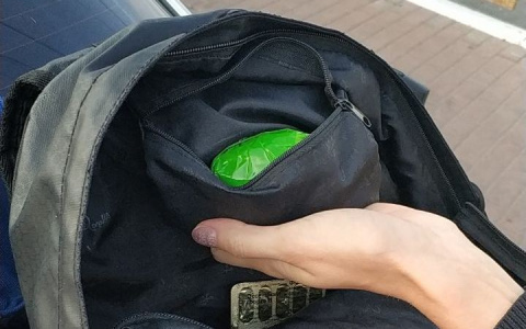 Жительница Саранска, у которой в рюкзаке нашли сверток с героином, отправится в колонию