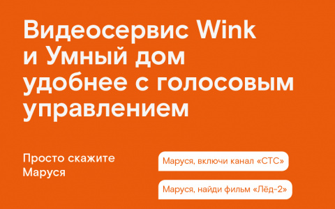«Ростелеком»: в Мордовии теперь можно купить «Марусю»