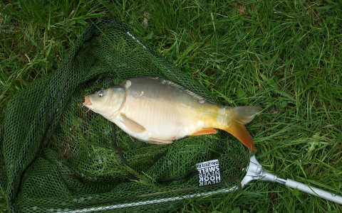 Рыбак незаконно глушил рыбу током на озере Песчаное в Мордовии