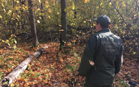 В Саранске в лесу нашли тело пропавшей 16-летней девушки