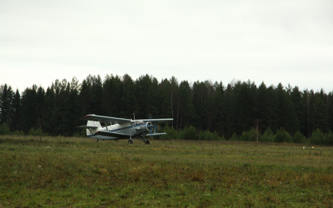 Легкомоторный самолет разбился под Пензой: он должен был выполнять химработы на территории Мордовии