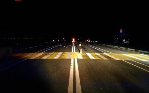 На трассе в Мордовии водитель «Рено» насмерть сбил пешеходов