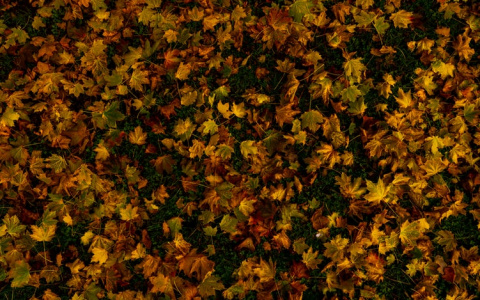 Синоптики рассказали о погоде в Саранске на 27 октября