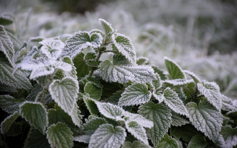 Синоптики рассказали о погоде в Саранске на 4 ноября