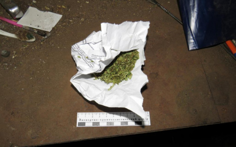 У жителя Мордовии изъяли около полутора килограммов наркотиков