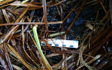 В Мордовии мужчина случайно застрелил друга на охоте: возбуждено уголовное дело