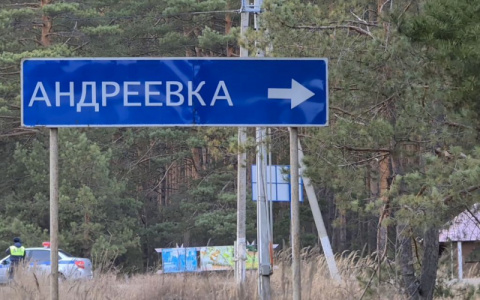 В Мордовии задержали водителя, который сбил велосипедиста и бросил умирать на обочине