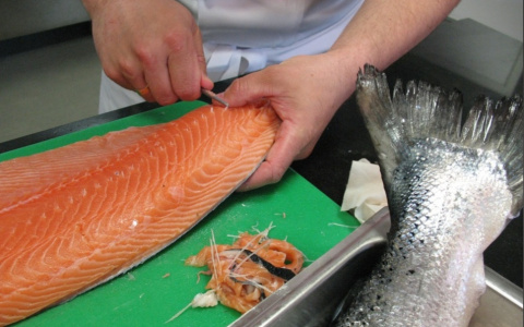 Листерии и кишечная палочка: Роскачество назвало марки семги, которые не стоит покупать