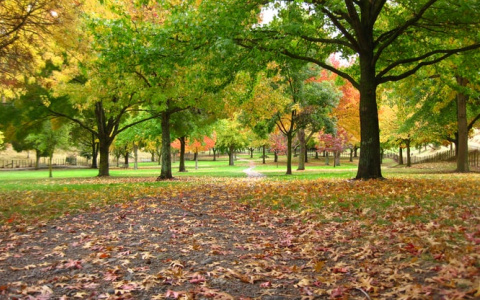 На благоустройство парка на улице Т.Бибиной в Саранске выделено 40 миллионов рублей