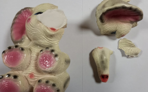 Няня украла у саранской семьи деньги из копилки