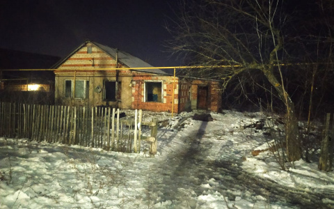 При пожаре в жилом доме в Мордовии сгорели заживо мужчина и женщина