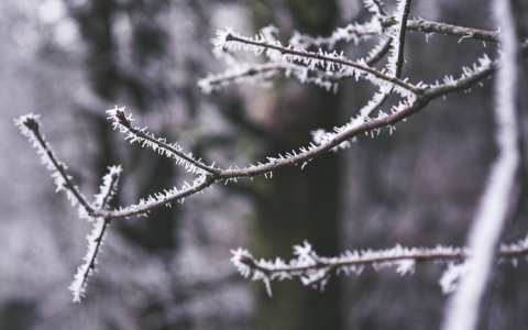 МЧС предупреждает жителей Мордовии об аномально холодной погоде в ближайшие дни