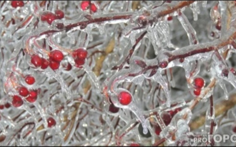В Мордовии из-за сильных морозов объявлено оперативное предупреждение