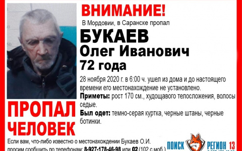 В Саранске остановлены поиски пропавшего без вести пенсионера